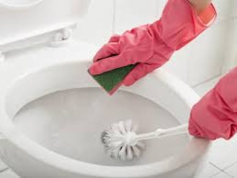 bar and pub toilet cleaning bar and pub toilet cleaning